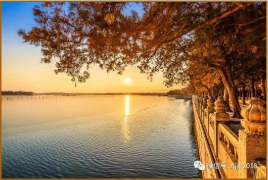 1649903538687278.jpg 40.jpg