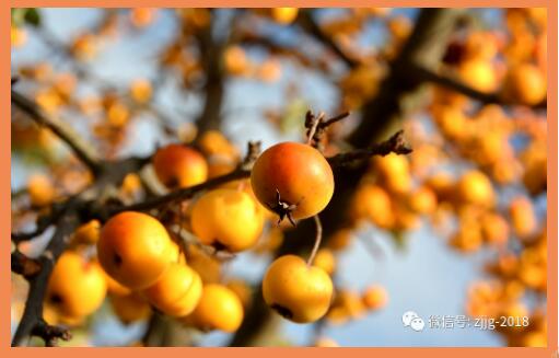 1649903569560670.jpg 41.jpg